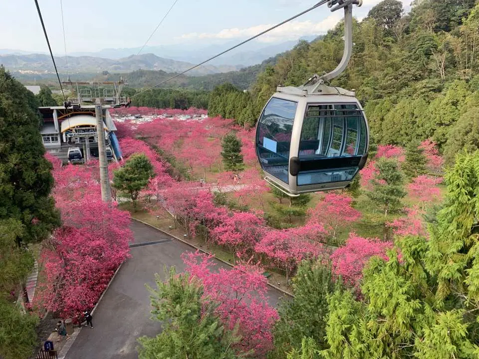 日月潭缆车除了可以让您鸟瞰九族文化村外，还可以接驳日月潭缆车，全长1.877公里，让您一览九族文化村的美景。 7分钟游遍日月潭湖光山色、九州山林。