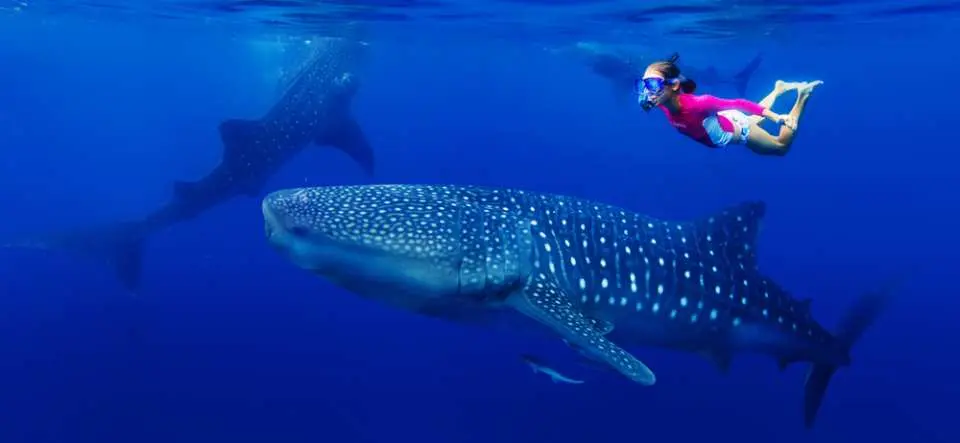 Travel from Resort to Taug, Lila for diving