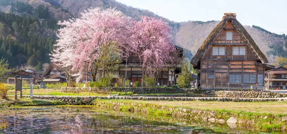 白川鄉