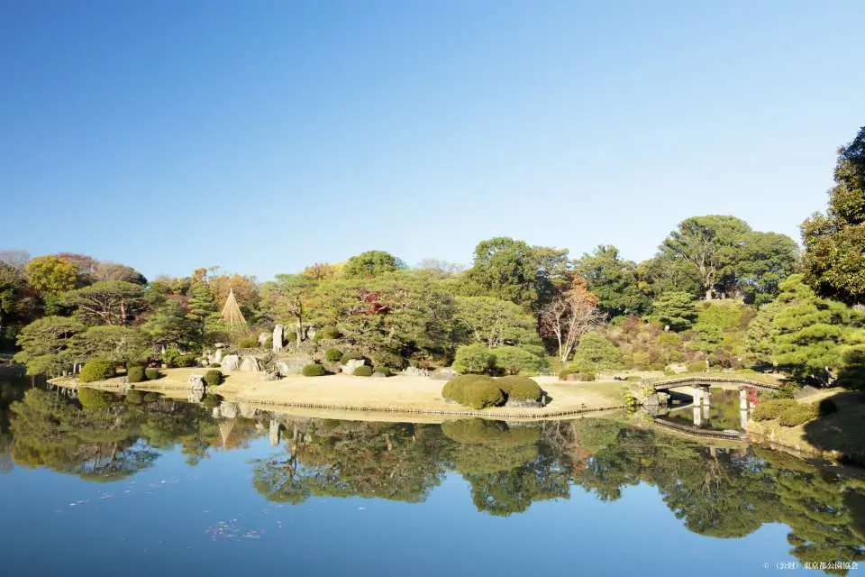 An idyllic Japanese garden landscape in Tokyo, featuring a broad pond, diverse trees, and a small wooden bridge, bathed in sunlight under a clear blue sky.