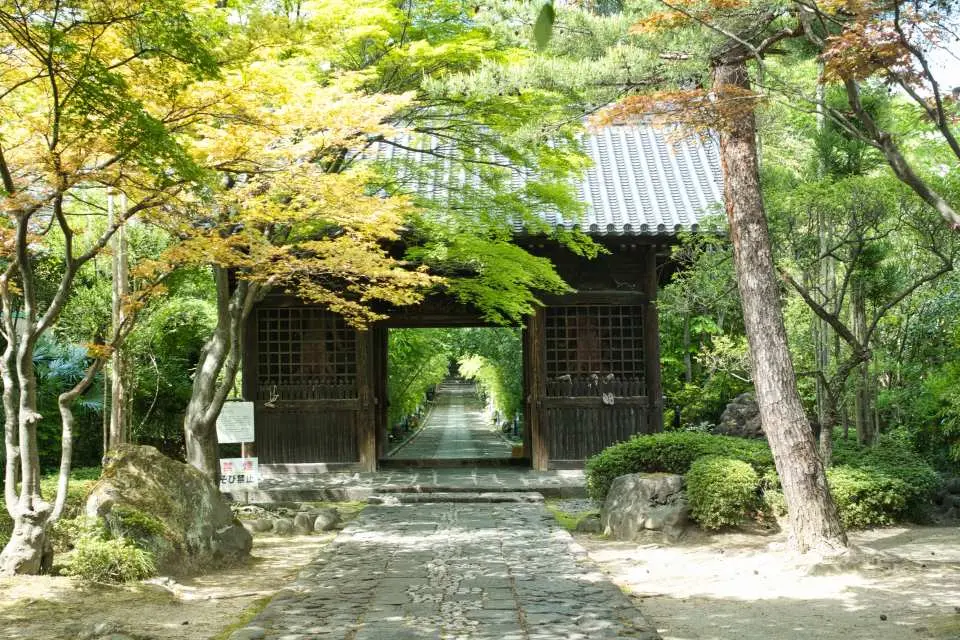 仙台古蹟日式庭園快照，記錄傳統寺廟木門與兩旁綠意盎然的樹木，營造寧靜氛圍。