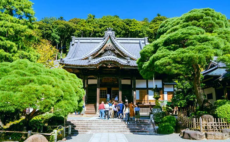 Fukuchisan Shuzenji Temple: The temple has a history of 1,200 years. It is said to have been founded by Kobo Daishi in the early Heian period of Japan (807). Legend has it that Kobo Daishi saw his son serving his sick father and washing his body with cold water. The master was very moved when he saw it, so he used a dry stick to hit the Katsura River, and hot springs gushed out. The filial son used the hot spring water to cure his father's illness, and the hot spring water here became famous because of this.