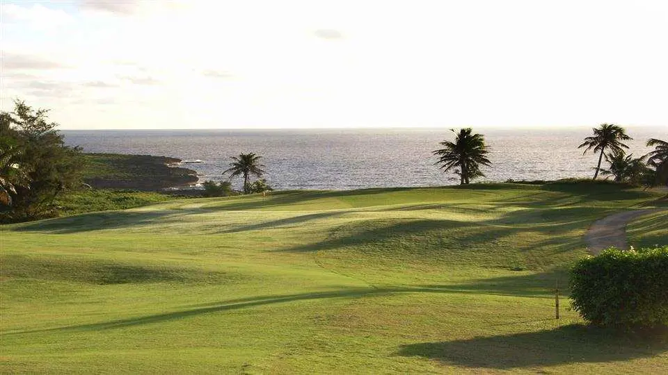 Serene view of Kingfisher GC, Saipan, with a beautifully contoured green fairway framed by tropical palm trees, overlooking the calm, expansive Pacific Ocean.