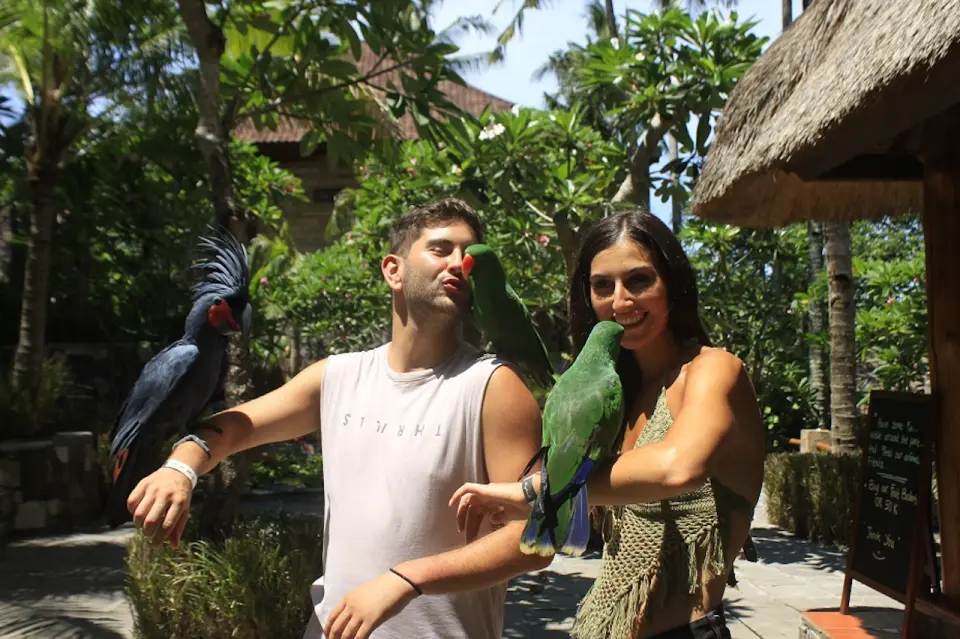 Visitors at Lombok Wildlife Park enjoying close interaction with colorful parrots perched on their arms and shoulders in a lush tropical setting.