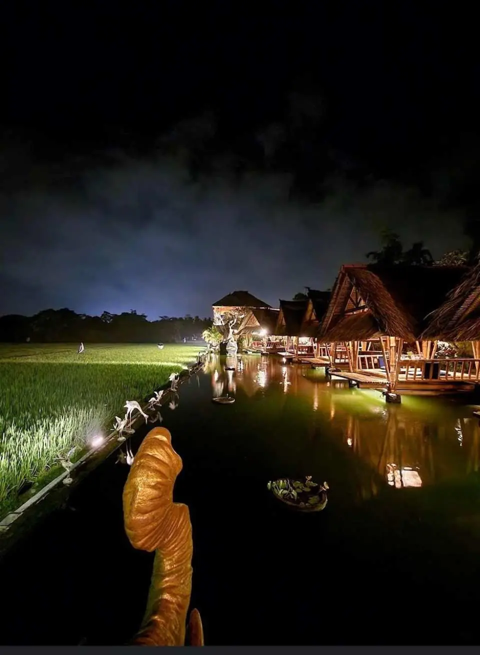Ceeking Rice Terrace Bebek Tebasari Resto 夜景