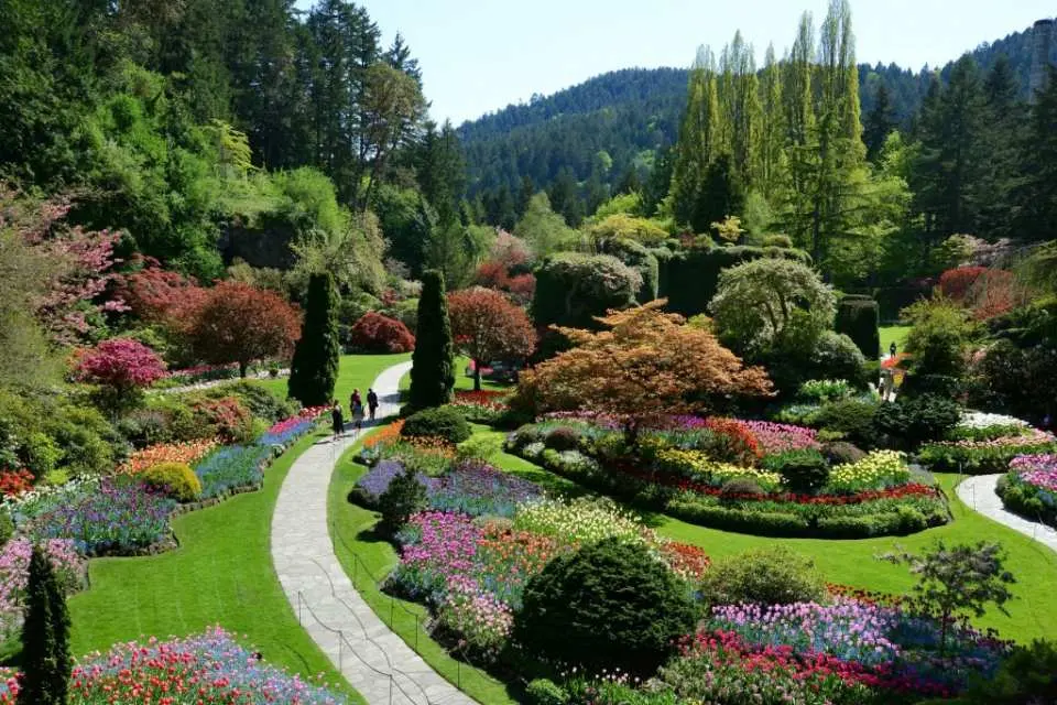 Experience the breathtaking beauty of the Butchart Gardens