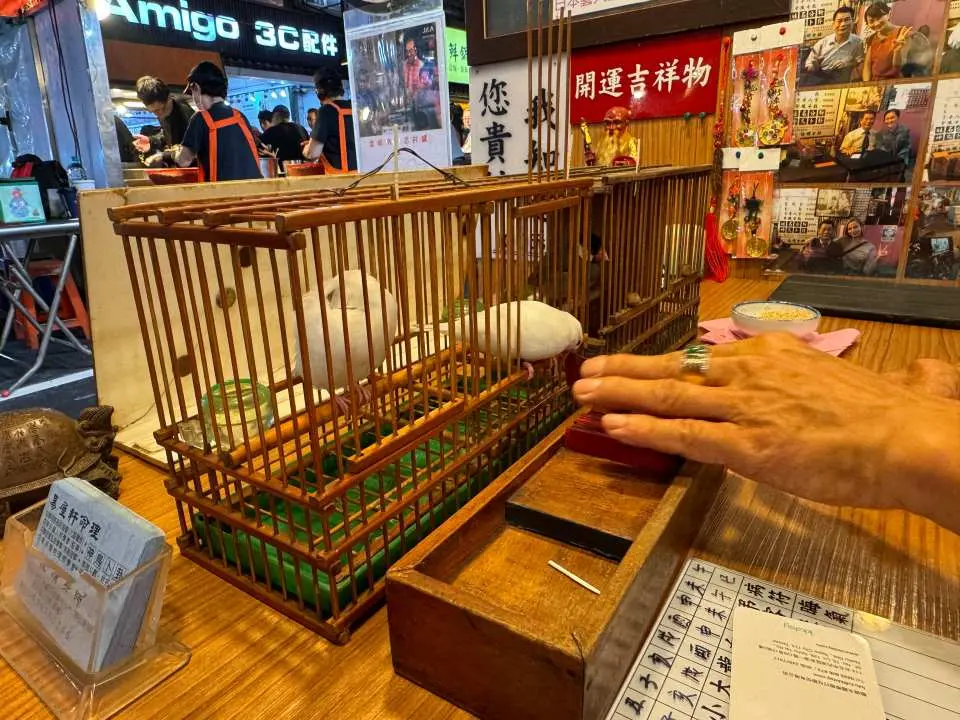 鳥卦命理特寫，兩隻可愛的白文鳥在精緻木籠中準備為客人抽取籤詩，是體驗台北傳統算命的特別環節。
