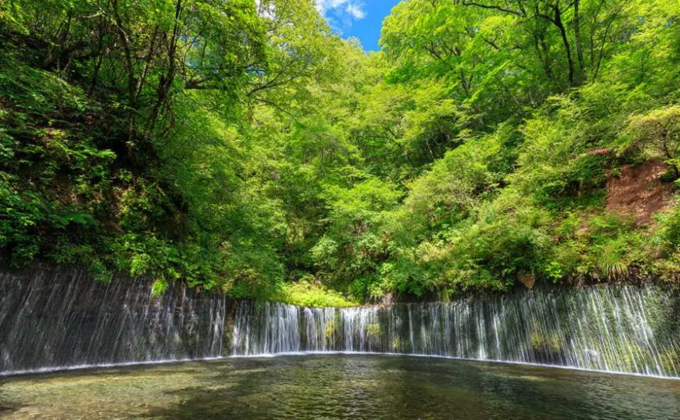 輕井澤白絲瀑布 (約停留45分鐘)