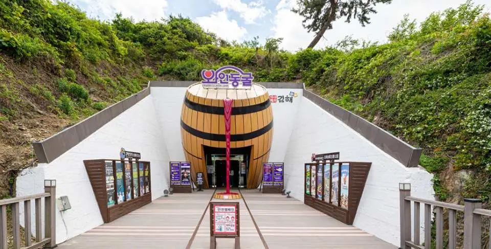酒窖