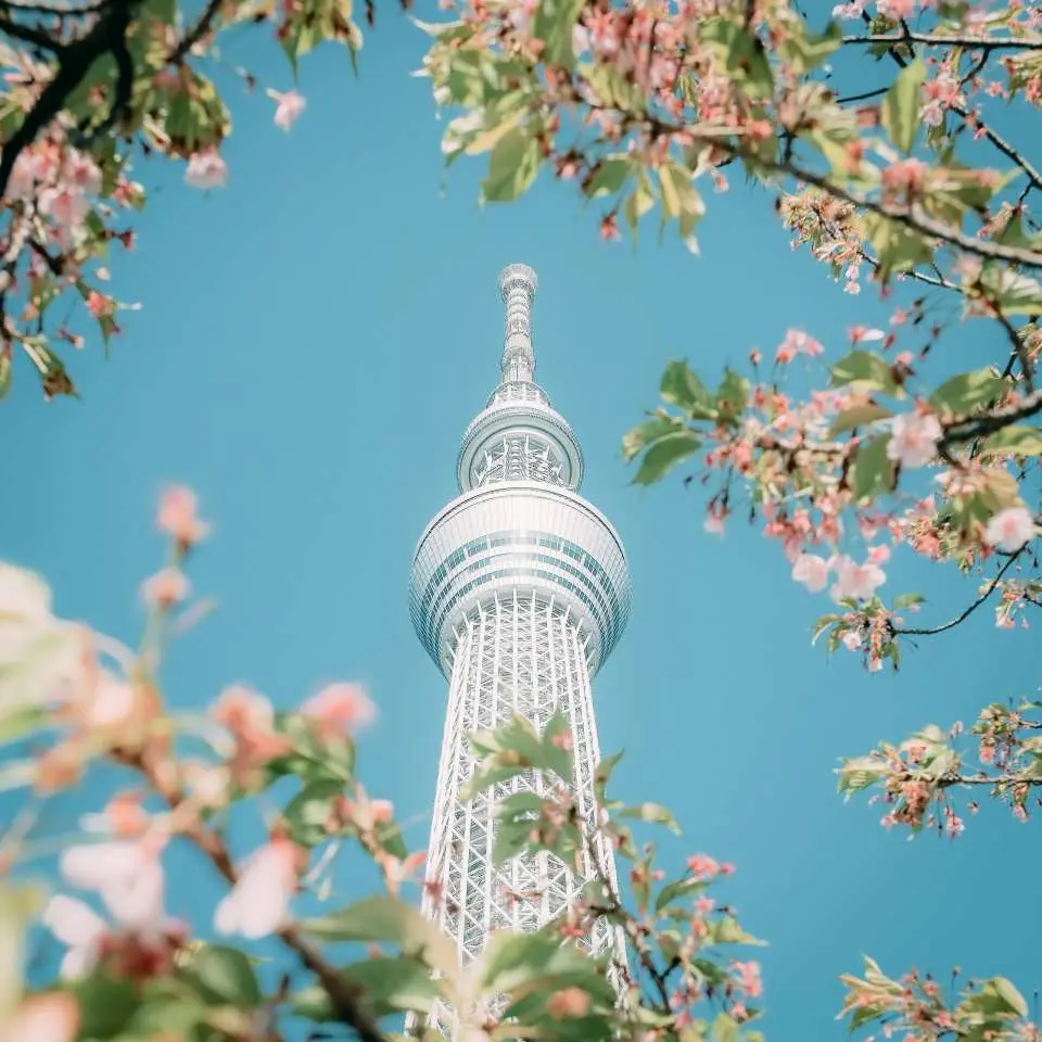 ・推薦景點：晴空塔