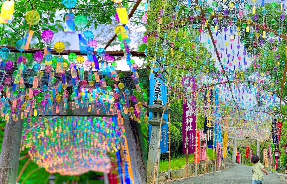 Miyajidake Shrine is not only famous for its "Path of Light," but also a sacred shrine with festivals throughout the year and a rich cultural atmosphere. From the iris flower festival in spring, the kaya no wa purification and new moon worship in summer, to the grand release ceremony and the sunset spectacle of the "Path of Light" in autumn, and the Hatsumode and Tsuoyō candle ritual in winter, each season has its own unique and exciting events to look forward to.