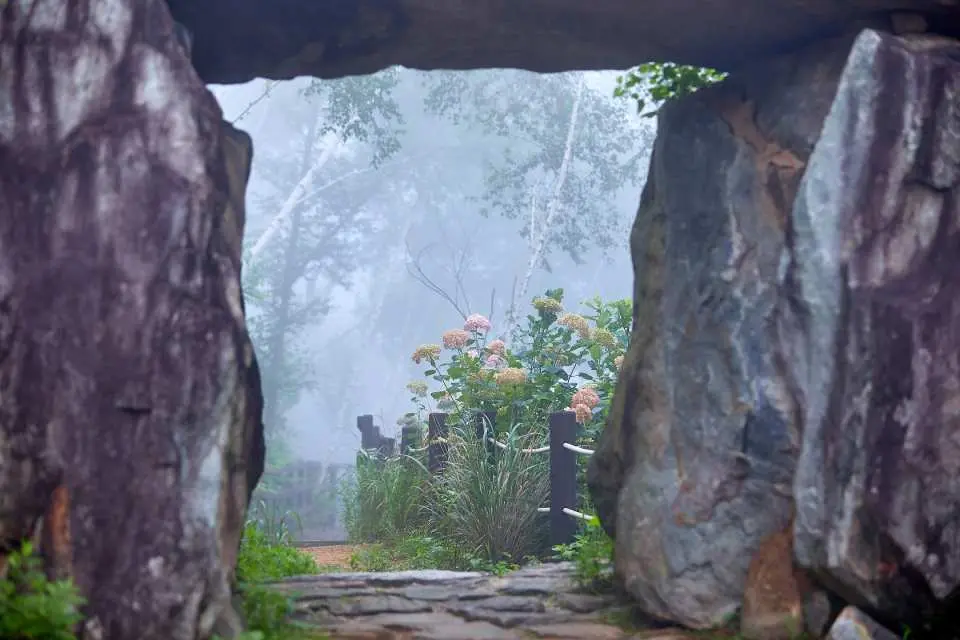 Rustic stone archway within Romijian Garden, opening to a misty forest path adorned with wildflowers. It creates a mysterious and tranquil natural ambiance for reflection.