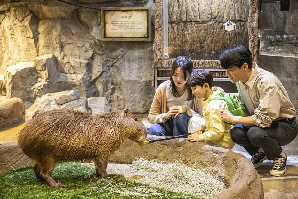 Family enjoys feeding a large, docile capybara with a stick at ZoolungZoolung Hanam indoor zoo, engaging in a unique close-up animal encounter in Gyeonggi.