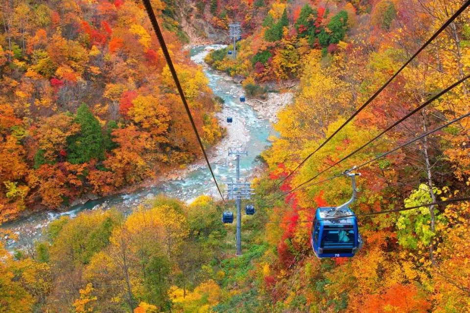 苗場ドラゴンドラ：紅葉の季節になると長蛇の列を形成する、新潟県屈指の紅葉名所「苗場ドラゴンドラ」へ混雑前の朝一番に、宿泊者限定の先行乗車でご案内！日本最長の全長5,481ｍの大迫力の紅葉パノラマ！約25分の紅葉空中散歩をお楽しみください！紅葉の見頃：例年10月上旬～11月上旬