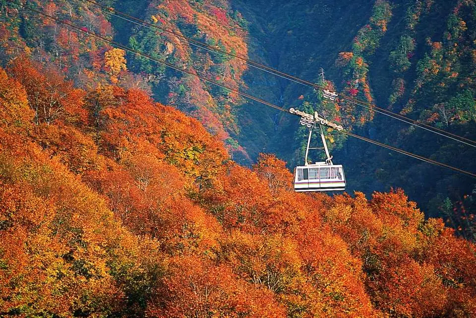 八海山ロープウェー：新潟県屈指の紅葉スポット。紅葉の見頃：例年10月中旬～11月上旬