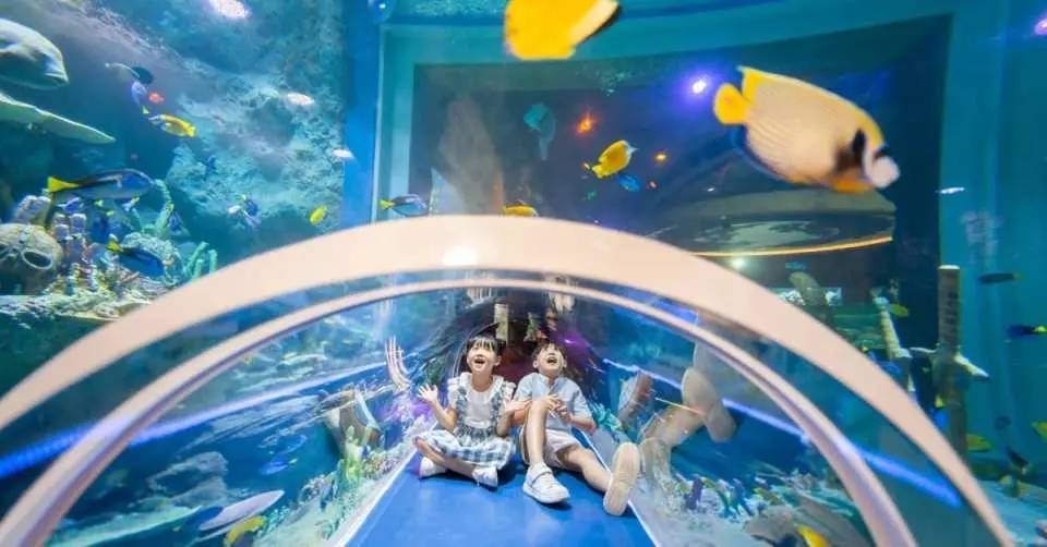 富國島珍珠奇幻樂園水族館內，兩位孩童開心體驗穿梭於繽紛魚群環繞的海底隧道，享受海洋世界的奇妙。