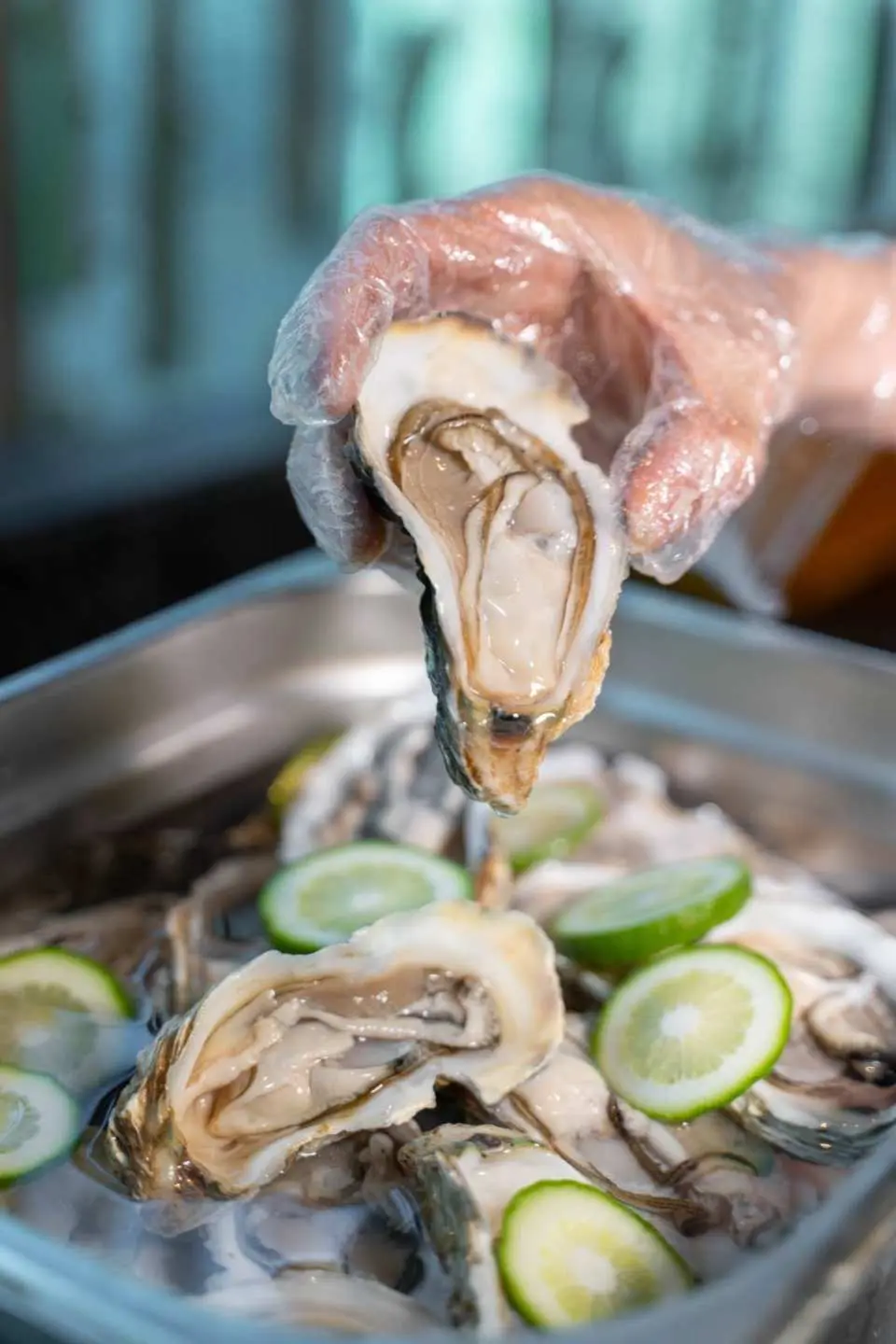乳山生蠔被稱為蠔界“白富美”的乳山生蠔，主廚現場烹飪，保留蠔的原汁原味，蒸完後的鮮美滋味一發入魂！