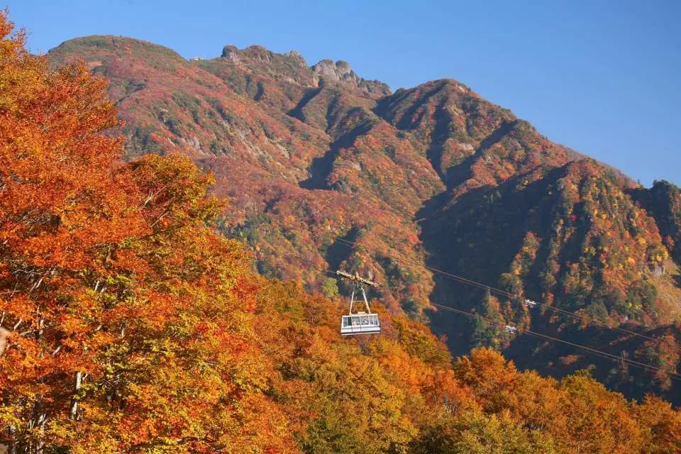 新潟人氣紅葉景點「八海山纜車」