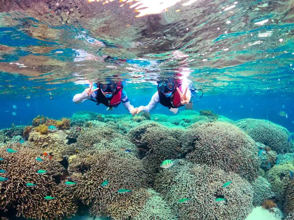沖縄津堅島の透明な海で、二人の観光客が手をつないでシュノーケリングを楽しんでいます。鮮やかなサンゴ礁と熱帯魚を鑑賞し、特別なダイビング体験を満喫しています。