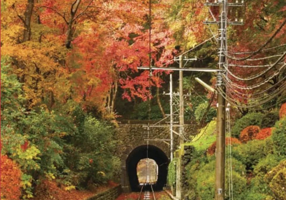 一列火車駛入被楓紅環繞的隧道，展現關東地區秋日鐵道風光，Greater Tokyo Pass帶您深度體驗。