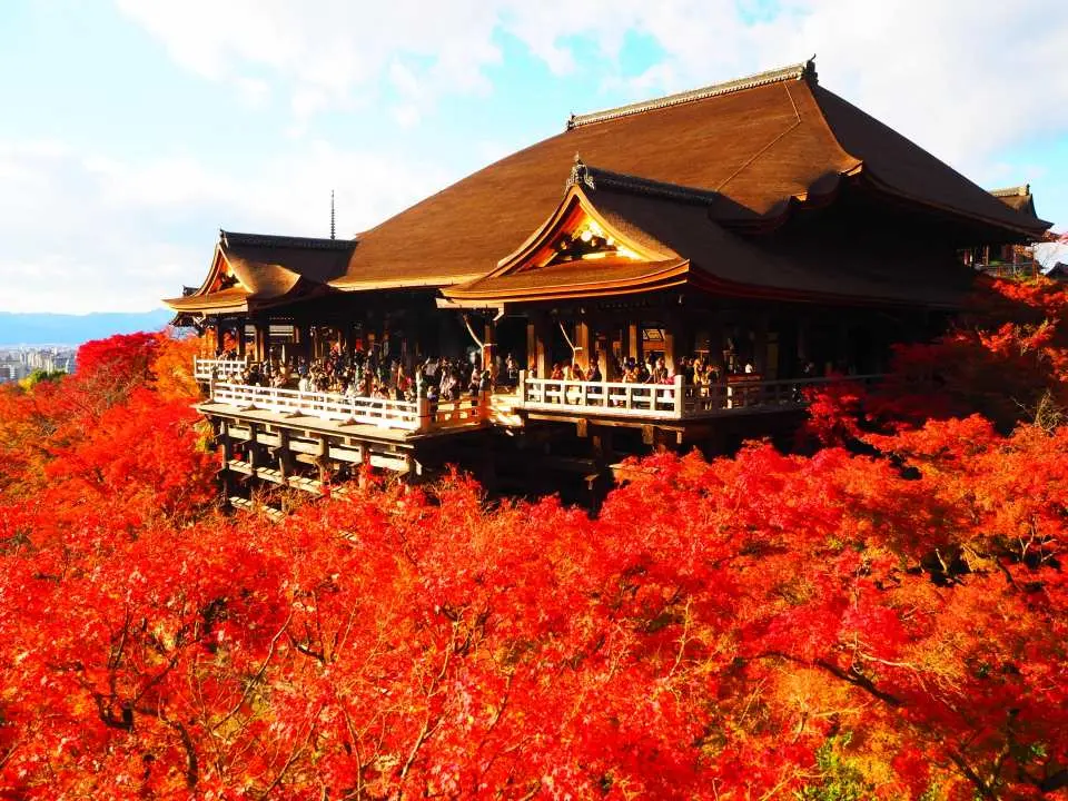 这座寺院以其独特的「清水舞台」而闻名，这个宏伟的木造平台悬空建于山崖之上
