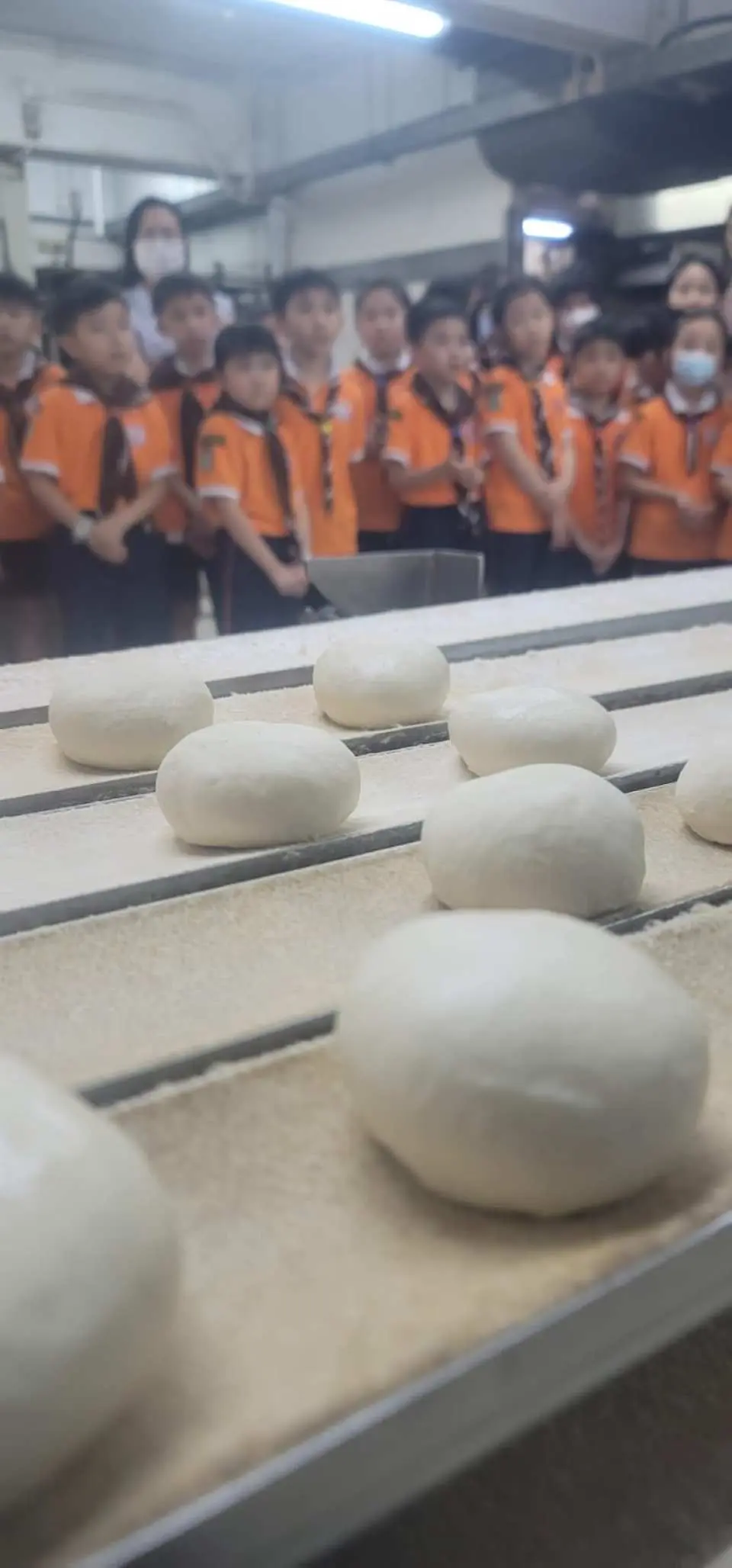 香港多多美麵包廠參觀體驗，一群穿著橙色制服的孩子們專注地觀看麵包在生產線上移動，了解麵包的製作流程。