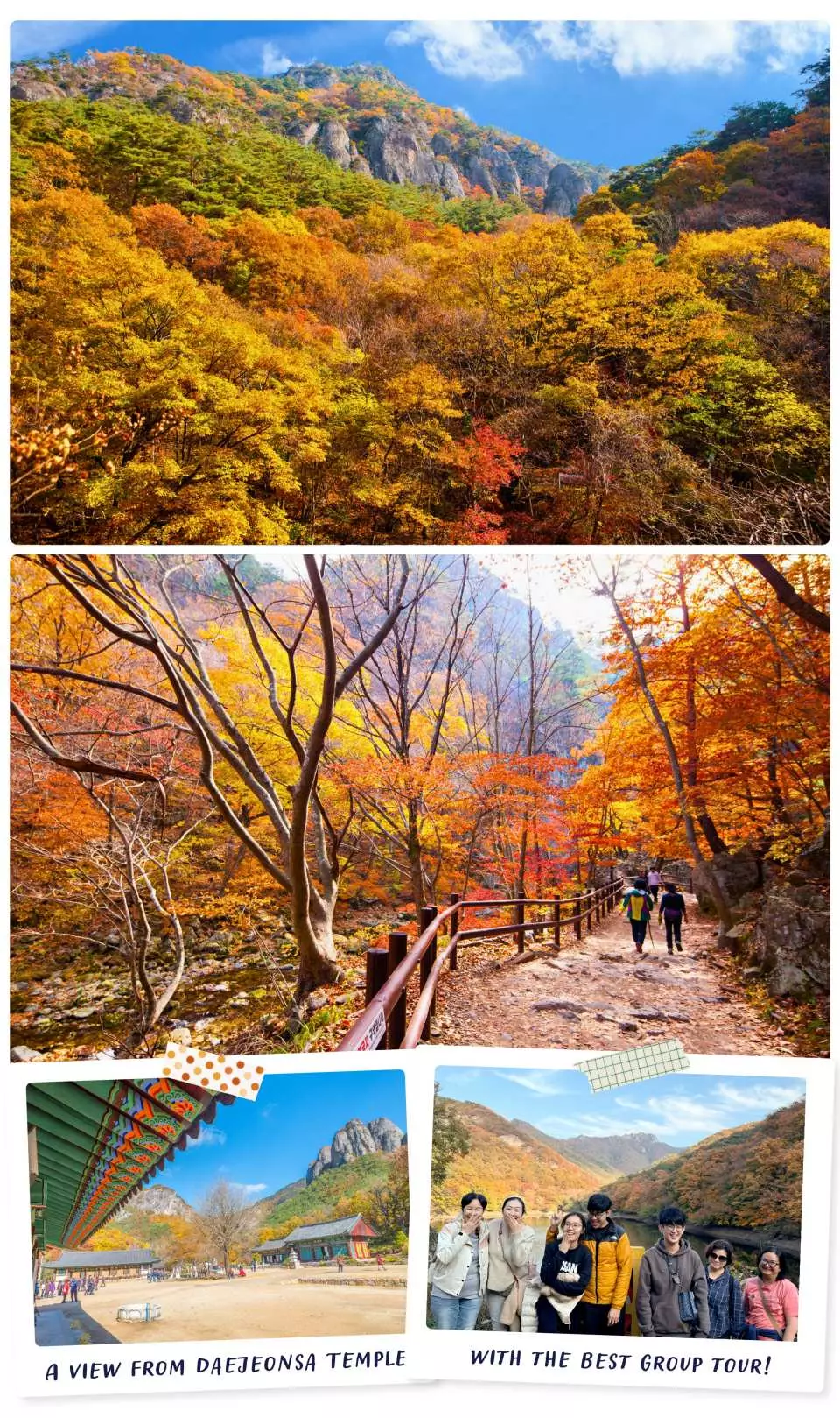 周王山秋季一日遊多景點拼貼圖，包含金黃山林、楓葉步道、寺廟庭院及遊客團體照，展現豐富旅程。