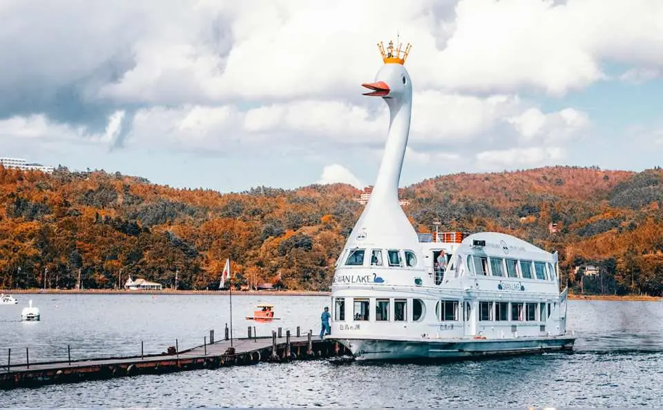 可以在山中湖边自由散步，欣赏美景，也可搭乘白天鹅造型的游览船「白鸟湖号(天鹅湖号)」周游山中湖，享受美丽大自然的同时，接触野生天鹅的珍贵体验也不容错过（可在乘船处自助购买100日币/袋的饲料）。