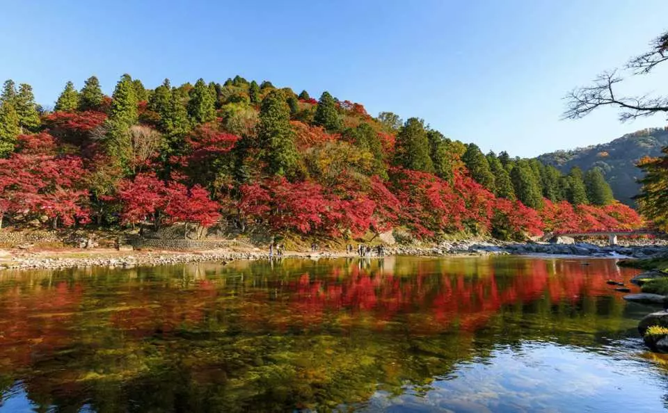 香嵐渓の燃えるような紅葉が澄んだ水面に映り込み、名古屋発日帰りツアーで体験できる、水面に映る秋の光が美しい絶景です。