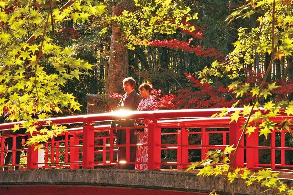 A couple, one in kimono, enjoys vibrant red and green autumn leaves on a red bridge in Izu's Atami Plum Garden or Niji-no-Sato, part of the romantic fall tour.