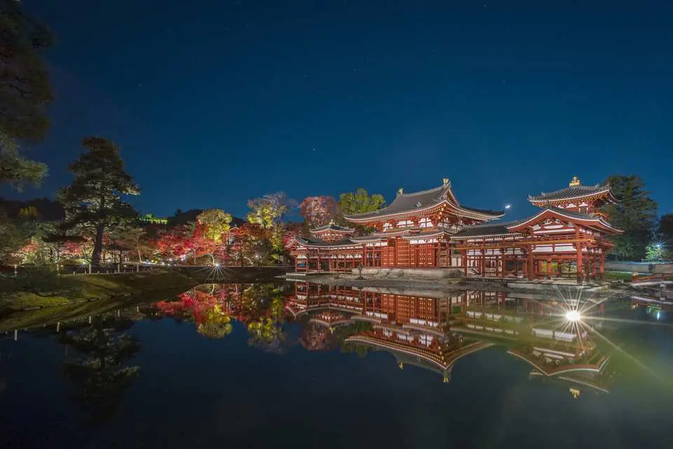 夜間拝観でしか見られない極楽浄土の風景をお楽しみください。