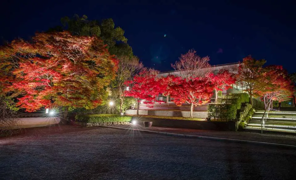 浄土院広場（鳳翔館を向いて）