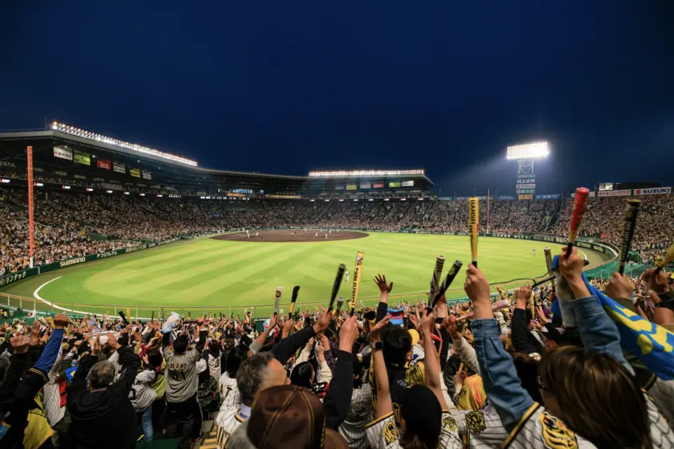 圖為外野視野示意圖，實際購票座位為視野更近的「三壘阿爾卑斯席」