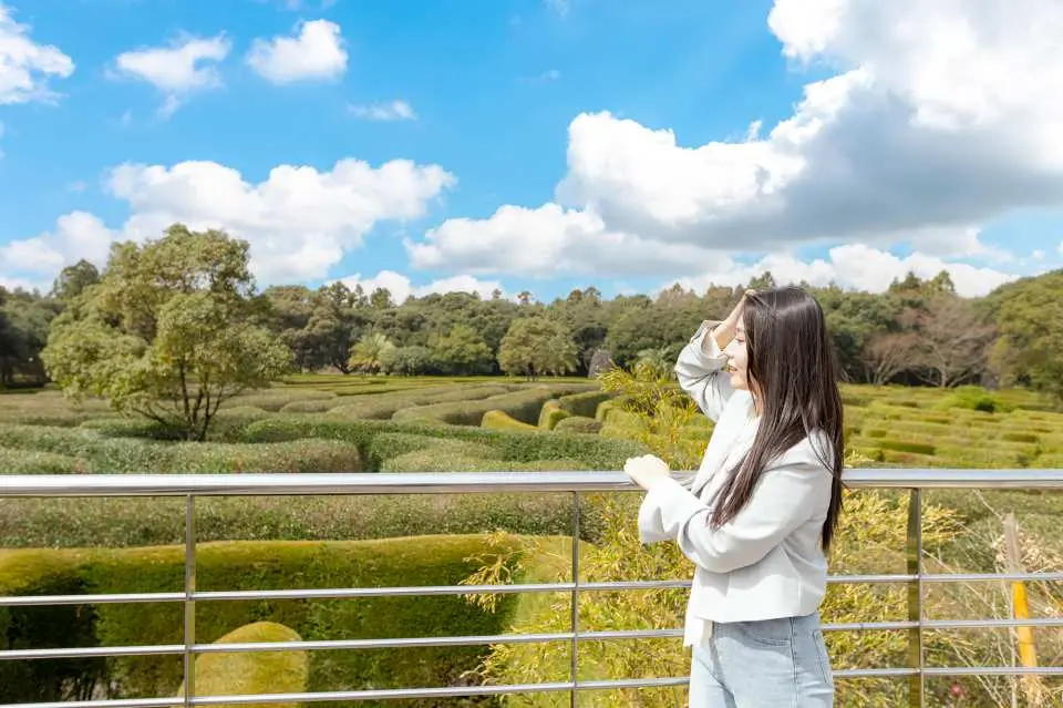 韓國濟州Maze Land迷宮樂園，遊客站在觀景台上俯瞰宏偉的綠色樹籬迷宮，享受將整片廣闊迷宮盡收眼底的開闊視野。