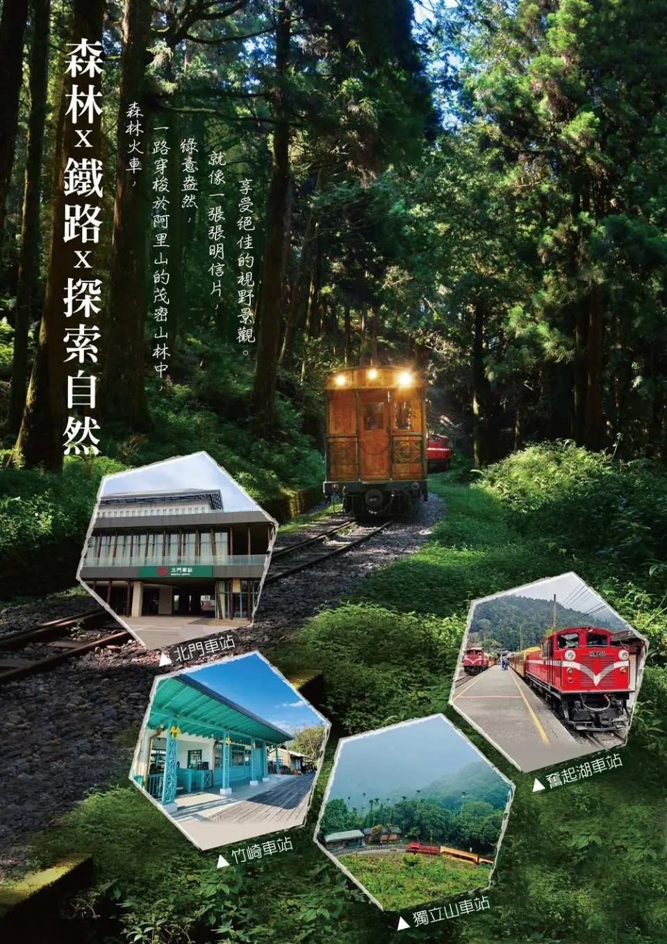 阿里山森林鉄道の自然探検プロモーション画像、列車が森の中を走り抜け、沿線の豊かな観光スポットと組み合わせて、旅行者を深い体験へと誘う。