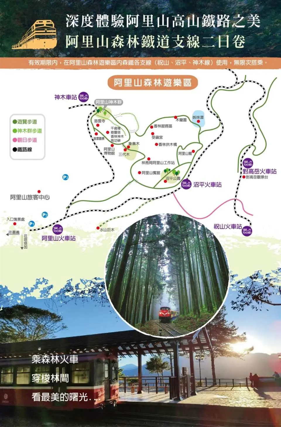 阿里山森林鉄道の深掘り体験ポスター、高山鉄道沿線の豊かな自然景観と文化的特徴を表現。