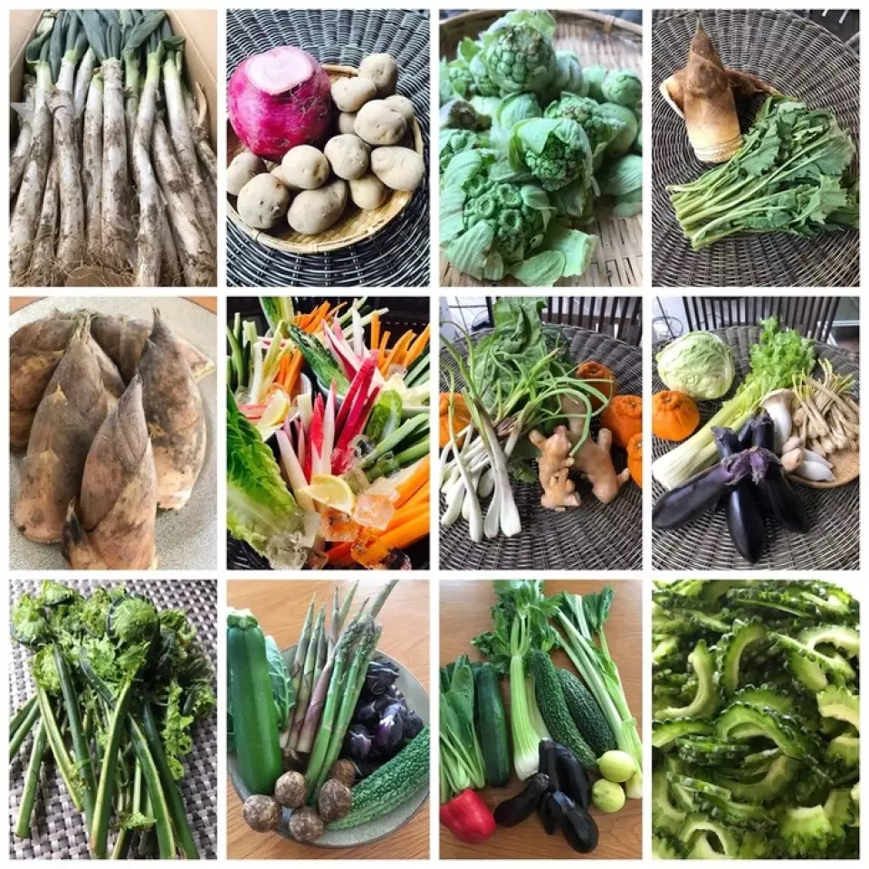 We receive fresh, seasonal vegetables from all over Japan. The vegetables served in our daily recommended dishes are prepared as simply as possible to bring out the natural flavor of the ingredients. Enjoy them with our homemade ponzu sauce, salt lemon oil, and other carefully selected salts from all over Japan.
