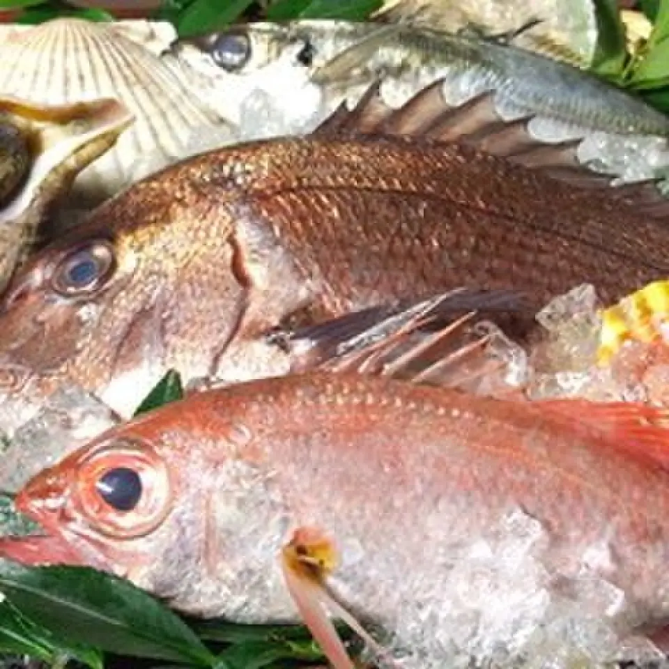 可以品嚐到石鯛、波賀尾、馬手亭、鯛魚等各種當地魚類！除了製作生魚片外，我們的頂級廚師還可以慢煮、烘烤和油炸食物。我們為我們的手工食品感到自豪，這與大型連鎖餐廳有點不同。