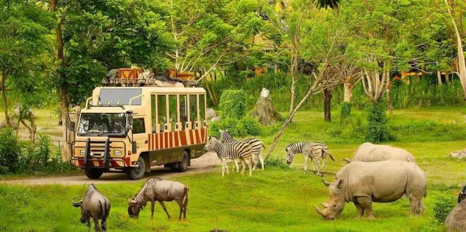 ．富國島景點推薦：珍珠野生動物園 Vinpearl Safari Phu Quoc