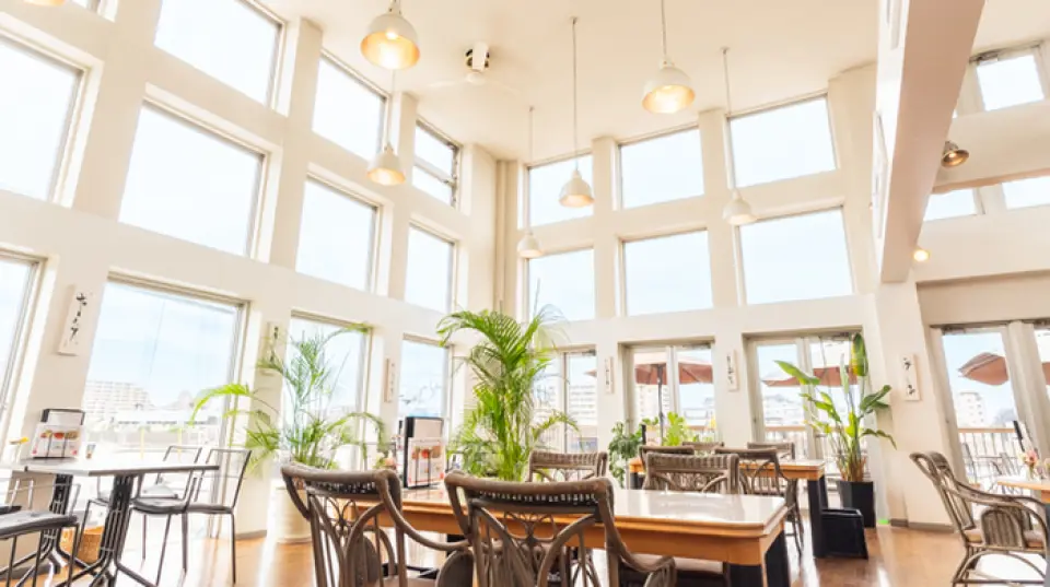 大窗戶和高高的天花板為空間帶來開放的感覺。柔和的光線照射進來，您可以在以白色為基調的明亮氛圍中度過一段時光。木紋內裝和觀賞植物營造出度假氛圍。此外，我們還配備了完整的繫泊設施，因此您可以直接乘坐遊輪來訪。不僅歡迎個人，也歡迎家庭和媽媽團體。即使身處都會也能感到精神煥發的本店，敬請光臨。