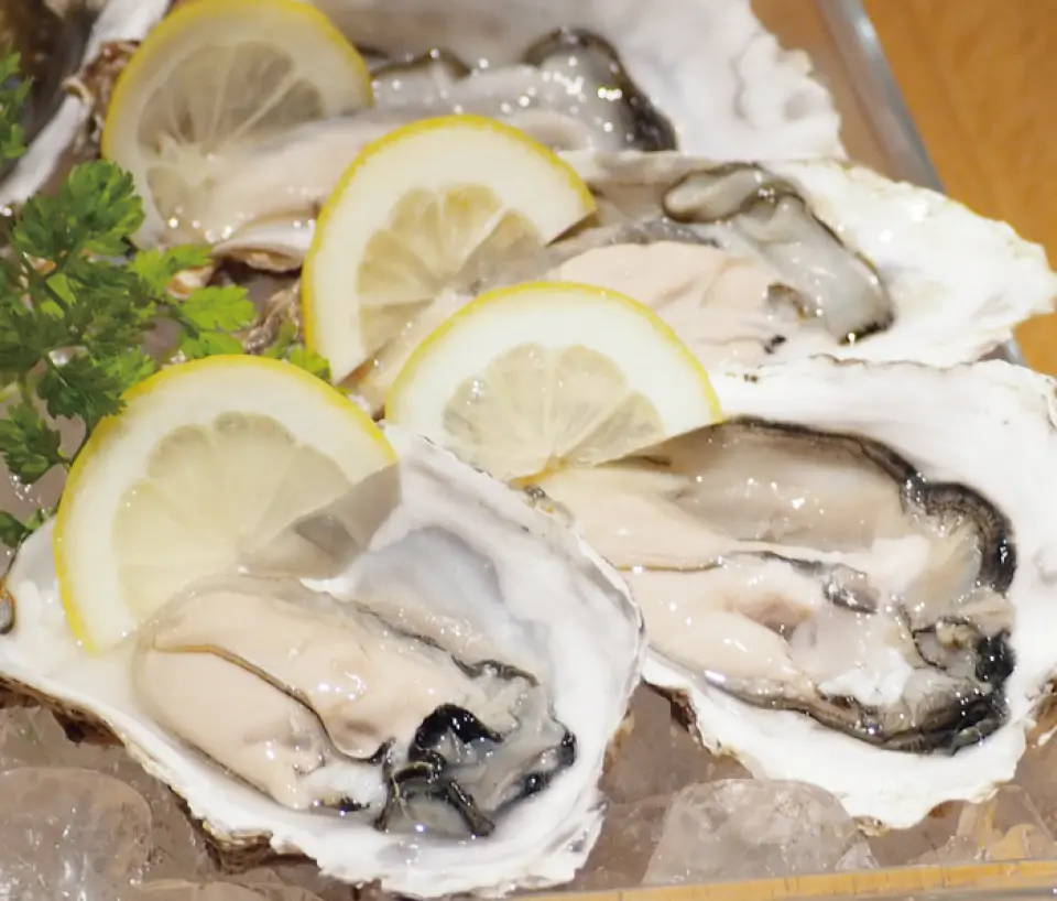 เราร่วมมือกับผู้เชี่ยวชาญของ Toyosu เพื่อคัดเลือกหอยนางรมแสนอร่อยสำหรับ ``ในขณะนั้น''! - สปาร์คกลิ้งไวน์ ไซเดอร์ ไวน์ขาว...โปรดเพลิดเพลินไปกับการผสมผสานที่หลากหลาย♪