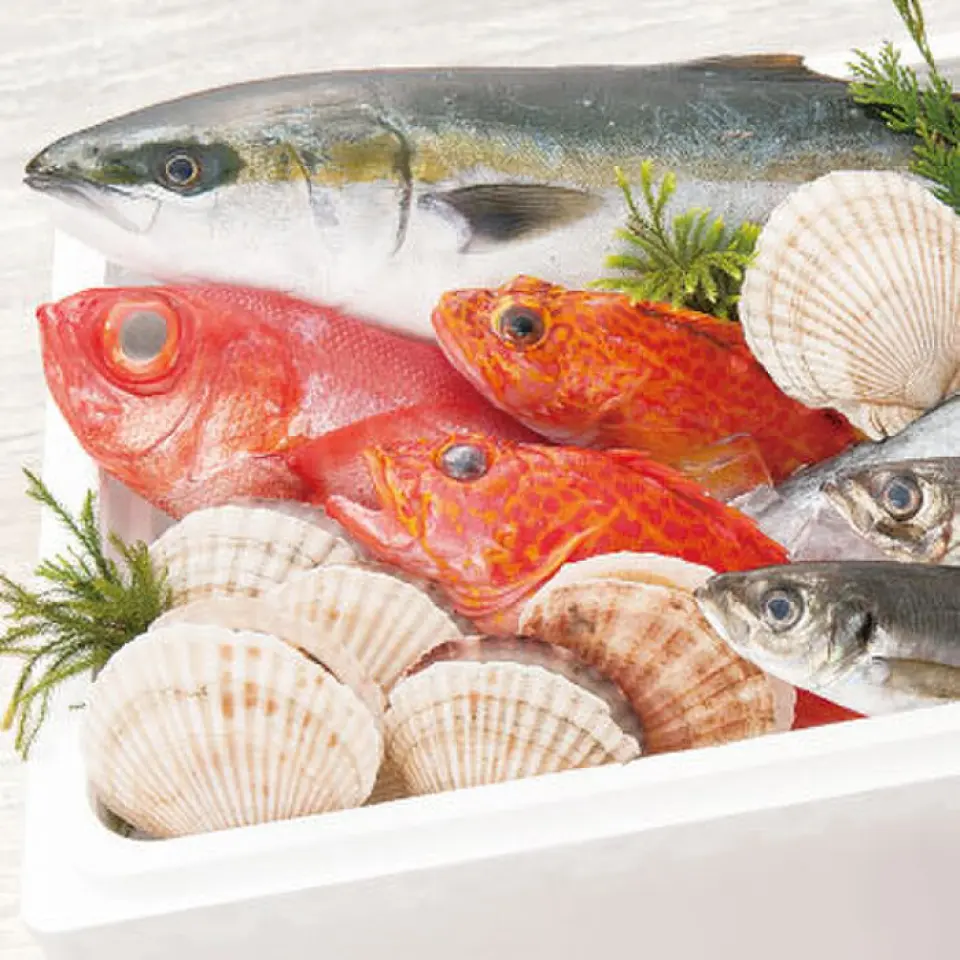 Our restaurant is particular about fresh seafood procured from fishing ports all over the country. We want you to taste the freshness of the seafood, so we serve it in simple dishes such as seafood grilling and sashimi. Please enjoy the original flavor of the ingredients.