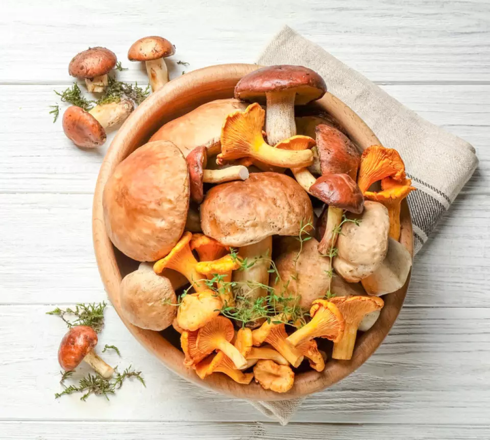 (Lẩu kiểu Nhật) Dựa trên nước dùng dashi, chúng tôi kết hợp các nguyên liệu phù hợp với các món lẩu từ khắp nơi trên thế giới. Món súp có hương vị đậm đà mang lại cảm giác ấm áp dễ chịu và hương vị độc đáo của Nhật Bản. Lẩu nguội) Lẩu nguội hai màu được chính tay chủ quán nghiên cứu và sáng tạo ra. Súp trắng sảng khoái được đặc trưng bởi hương vị tươi mát nhưng đậm đà. Mặt khác, súp đỏ có vị đậm đà và vị cay dễ chịu chắc chắn sẽ khiến bạn nghiện. Hãy trải nghiệm một hương vị mới hơn bao giờ hết.