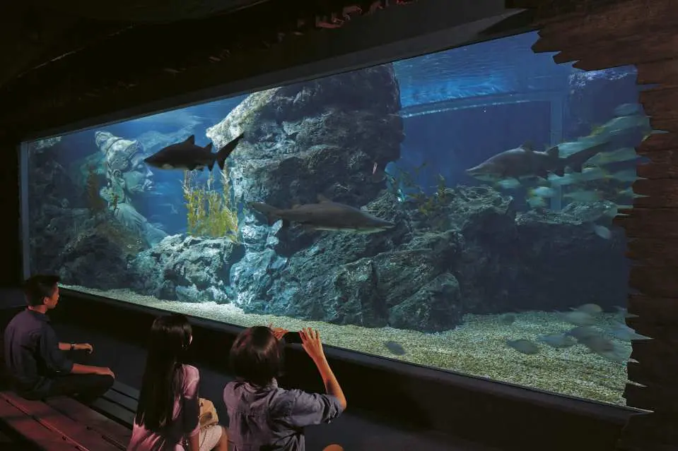 Adult and child observing sharks and diverse fish in a large panoramic aquarium tank at SEA LIFE Bangkok.