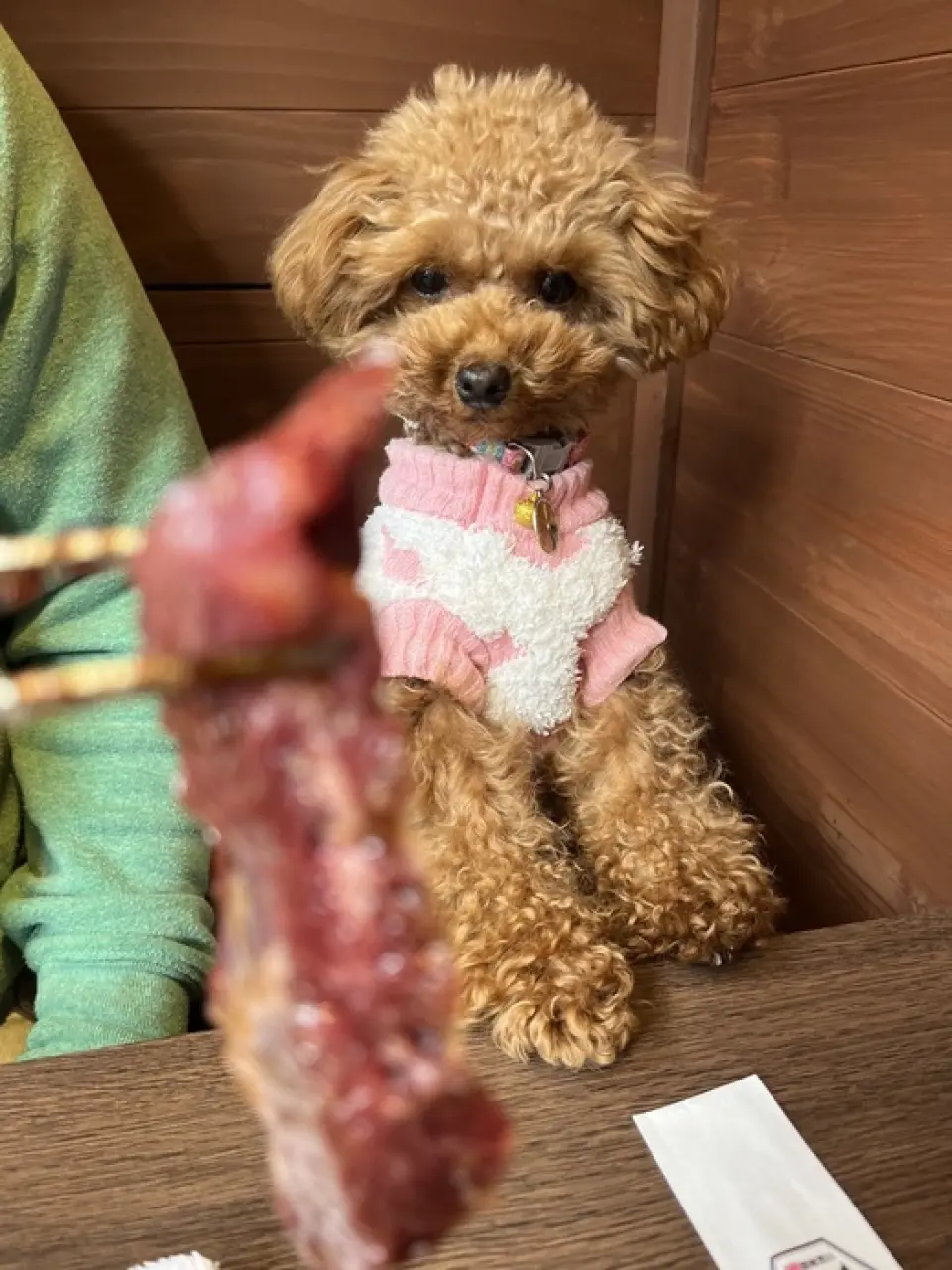 與您的狗狗在露臺上享用青椒烤肉！我們為狗狗準備了特別的烤肉菜單！ ！週六日假日可以帶狗狗去地下室包廂！