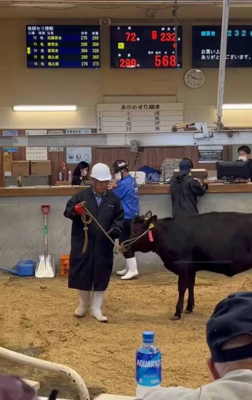 在Nikutsho Furusato，我們首先選擇廣島血統的雌性小牛成為榊山牛肉，然後用秘密的、不妥協的內部混合肥料（如玉米和腰果）長期飼養牠們，使肉質更加鮮美。味。