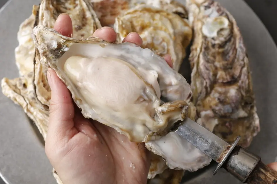 我们从全国各地订购时令美味的牡蛎！我们也为我们的新鲜海鲜和贝类感到自豪！