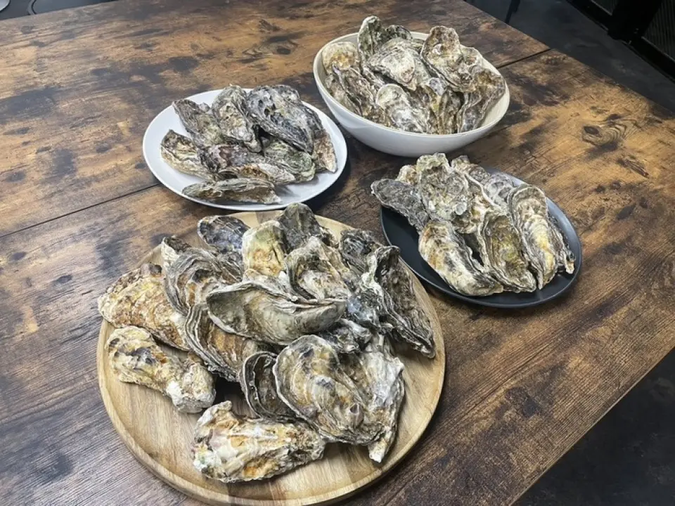 For a limited time only, from December to February, you can enjoy 3-year-old oysters from the Seto Inland Sea. While regular oysters are grown in one year, our restaurant purchases oysters that have been carefully grown over a period of 3 years. As a result, we are able to serve oysters that are not only larger in size but also more delicious. Please enjoy our satisfying and proud oyster dishes to your heart's content in the heart of Fukuoka!