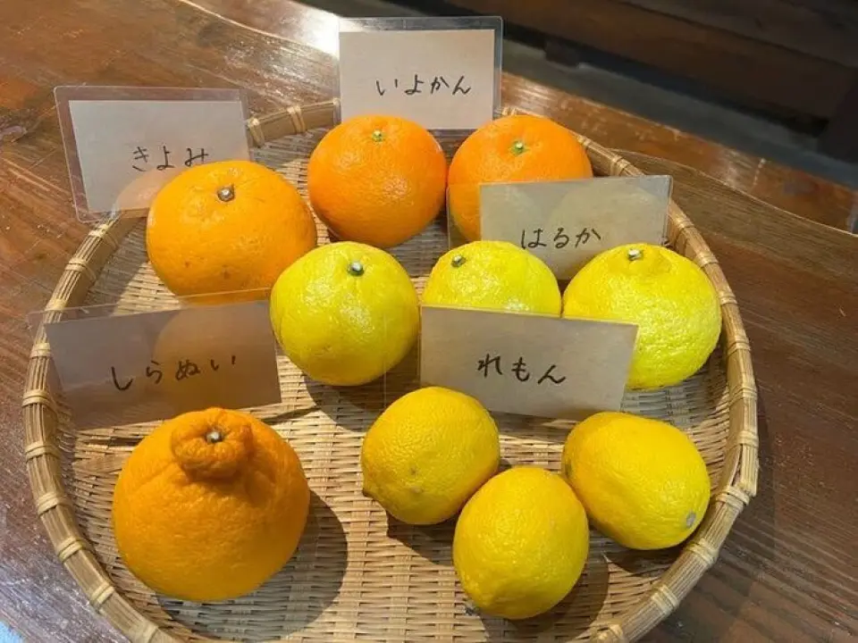 您也可以享用由當地種植的水果製成的鮮榨酸酒無限暢飲。我們有3到5種類型可供選擇，請嘗試比較它們。享受每個季節的變化。