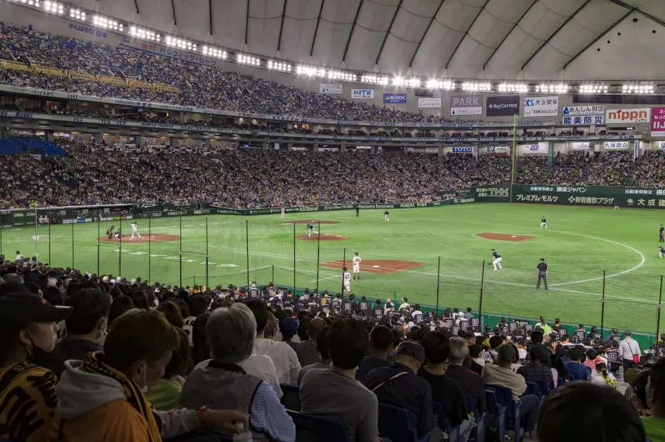 Lower level infield (reference view from first base)